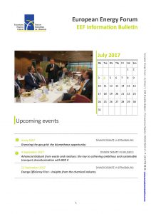 EEF Information Bulletin - July 2017_Page_1