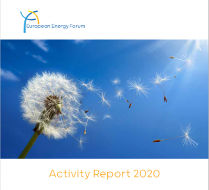 preview_activity_report_2020
